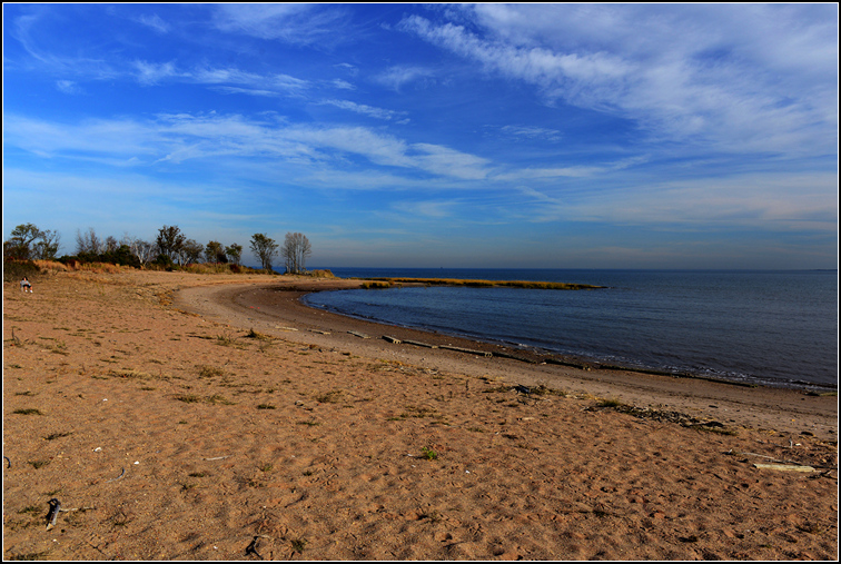 DSC_9126.jpg