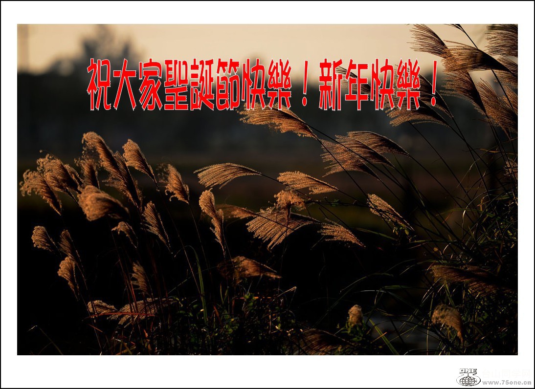 2_2459_2f9d417707c10b0.jpg
