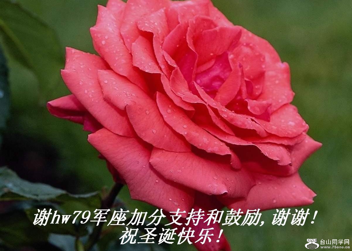 лhw79ӷֺ֧͹,лл!ףʥ!.JPG