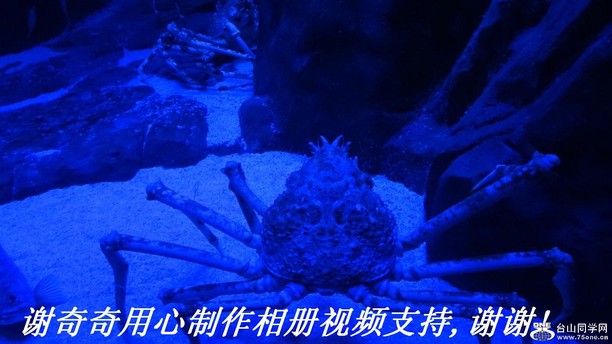 лƵ֧,лл!.JPG