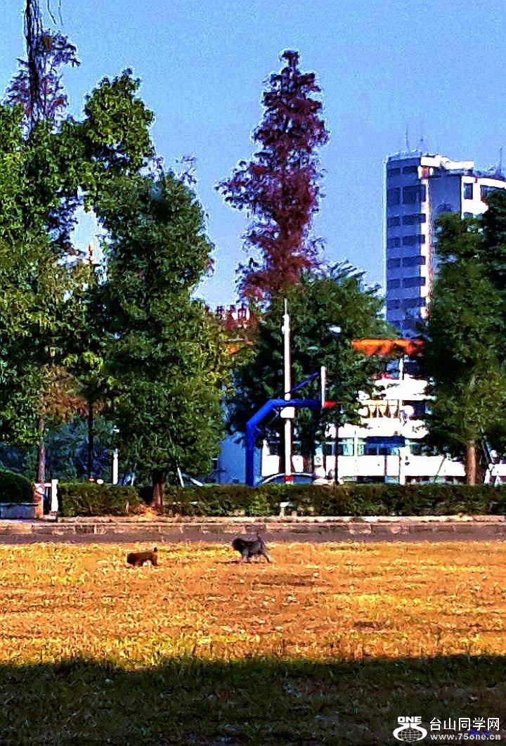 C360_2014-12-31-14-57-56-368.jpg