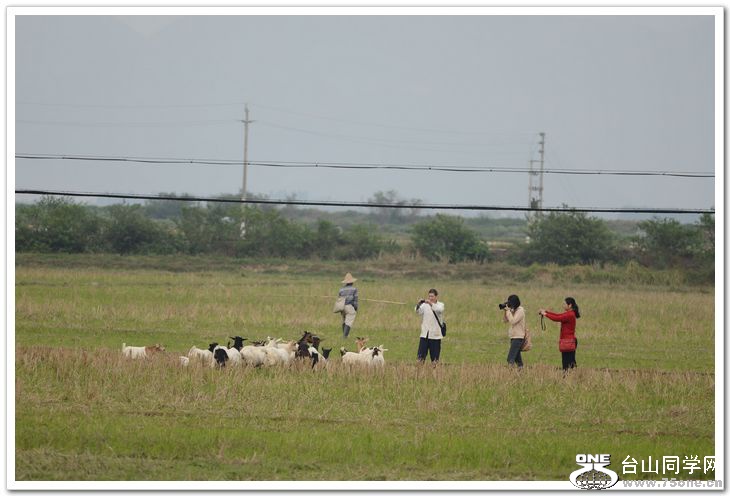 nEO_IMG_DSC_1933.jpg