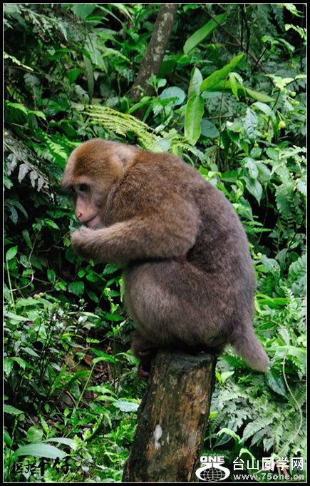 DSC_2404.jpg
