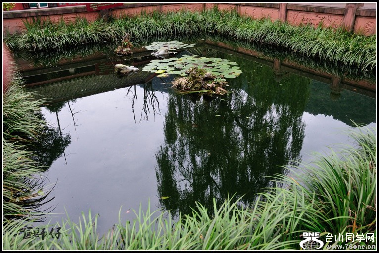 DSC_2349.jpg