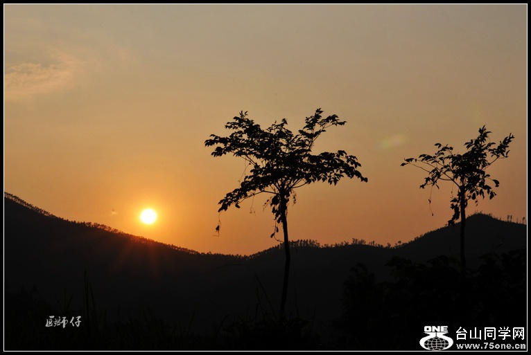 DSC_3346.jpg