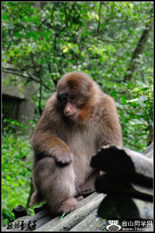 DSC_2399.jpg