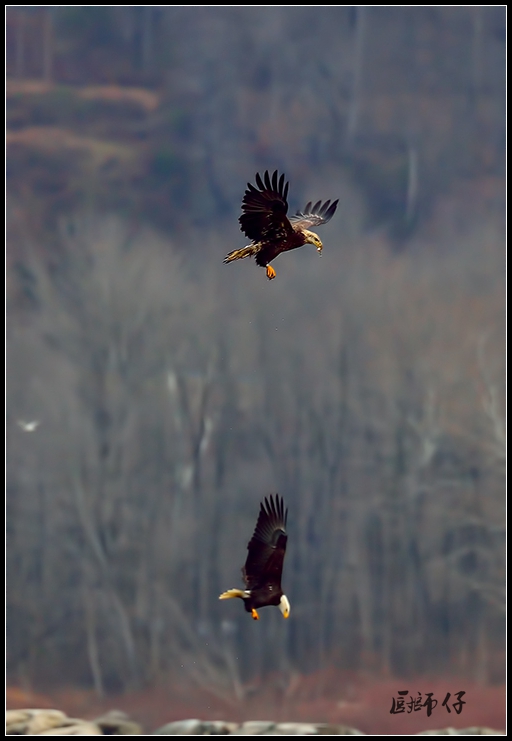 DSC_0399.jpg