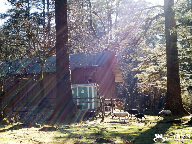 DSCF8613.jpg