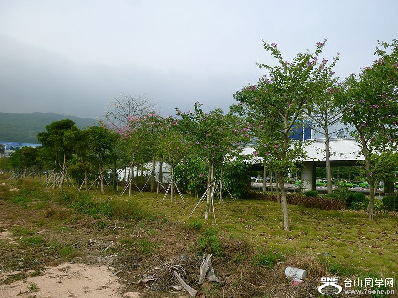 P1160510.jpg