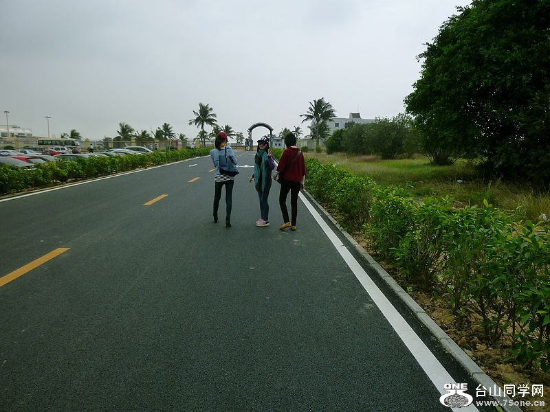 P1160426.jpg