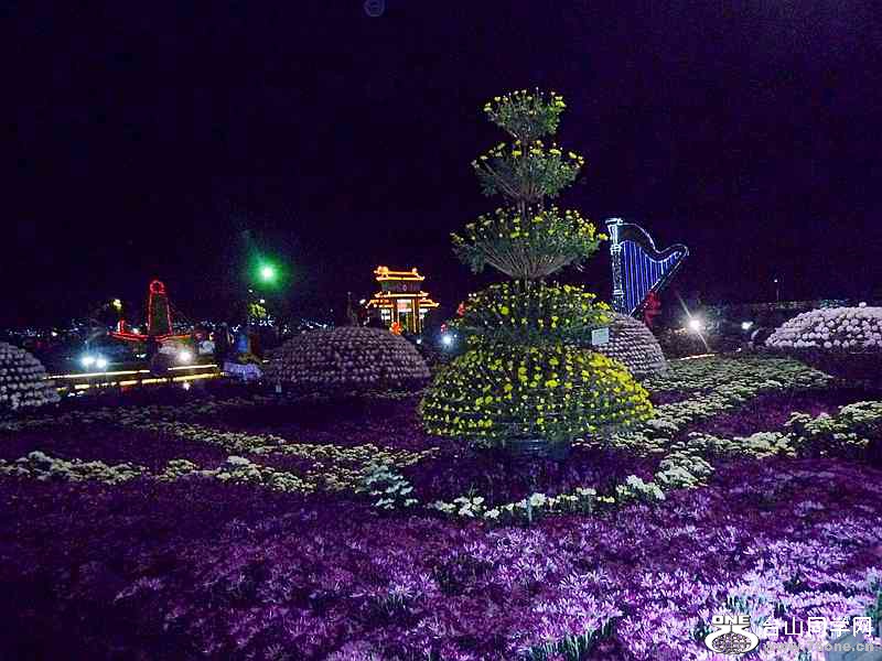 DSCF0031.jpg