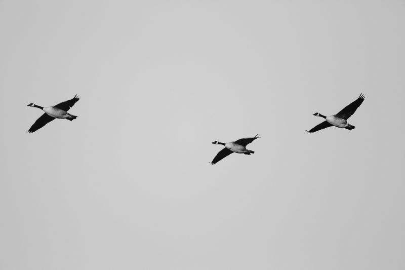 C83A5004.JPG