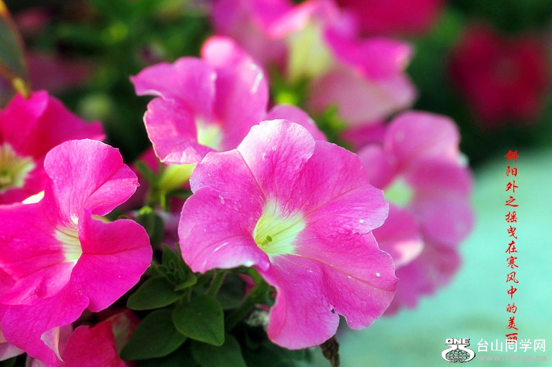 _MG_80922014--11-28_.jpg
