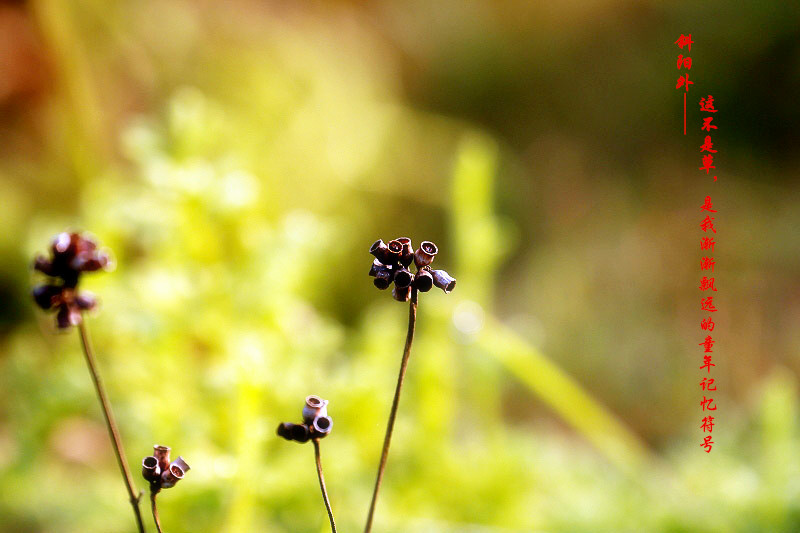 _MG_35432014--8-8-1_.jpg