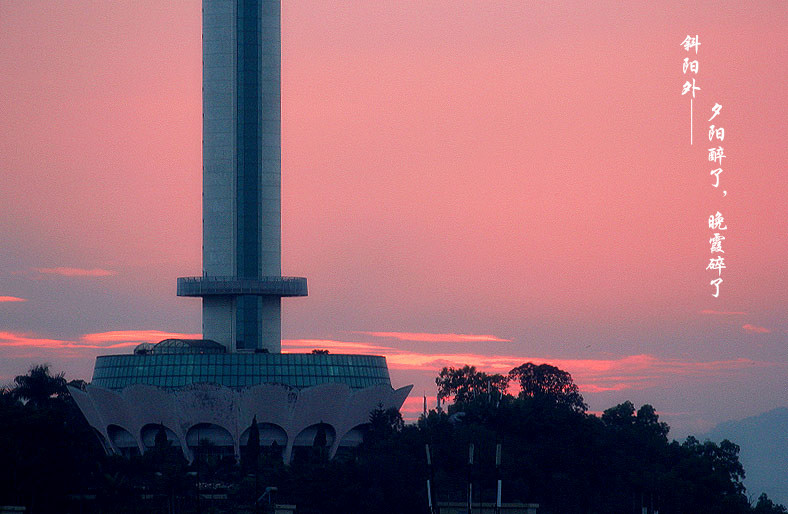 _MG_50002014--11-28_.jpg