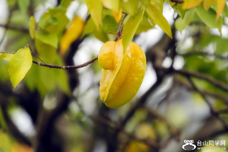 _MG_53412014--11-28_.jpg