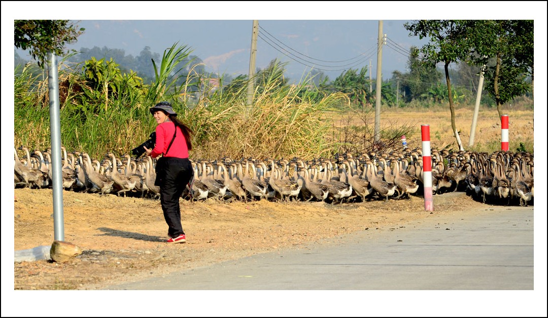 DSC_2514_conew1.jpg