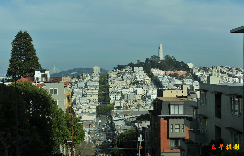 DSC_2535.jpg