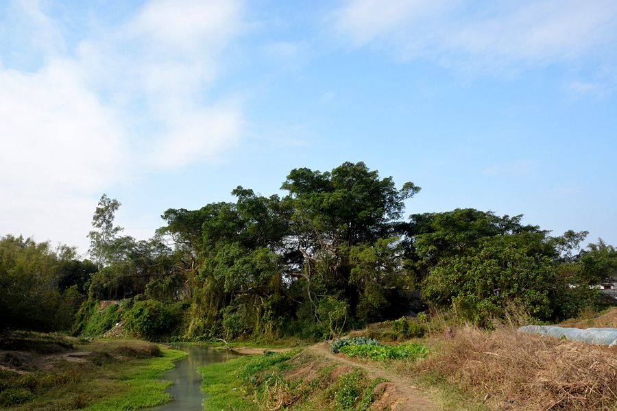 DSC_4816_副本.jpg
