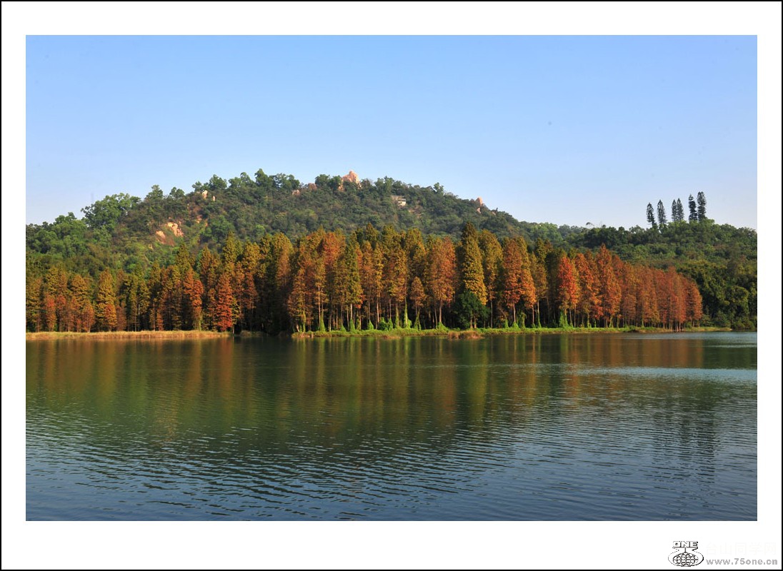 DSC_7577_conew1.jpg