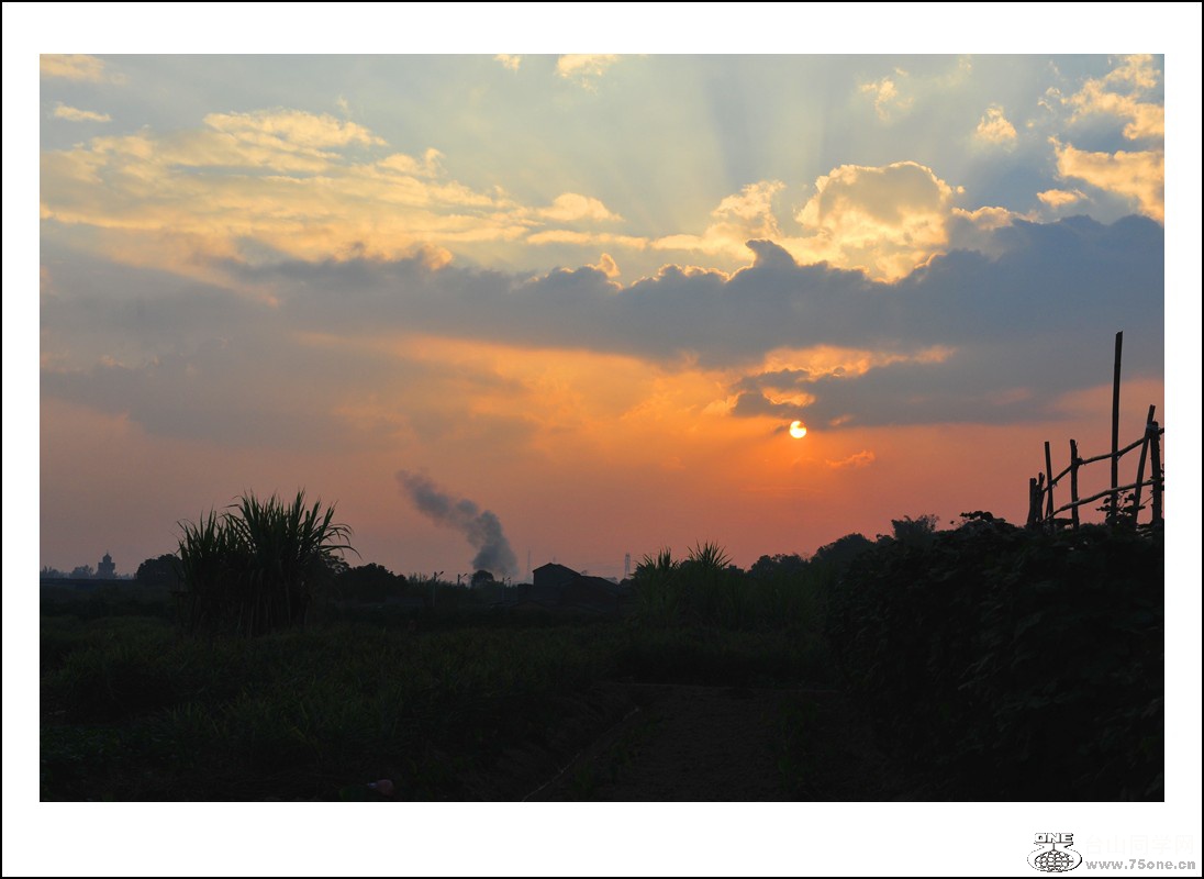 DSC_5670_conew1.jpg