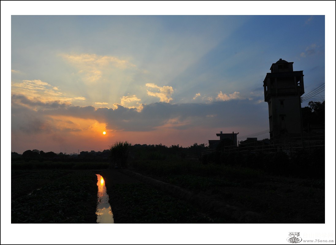 DSC_5713_conew1.jpg