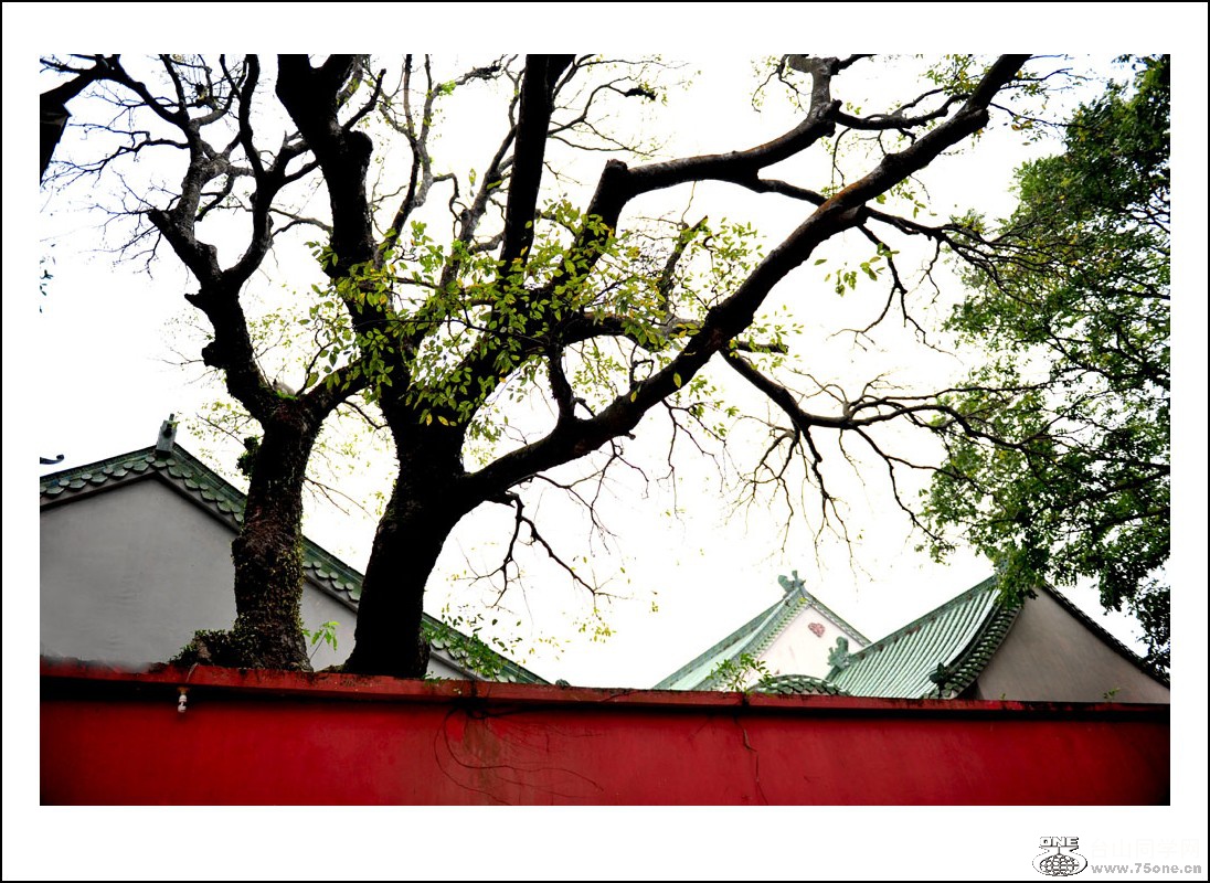 DSC_7129_conew2.jpg