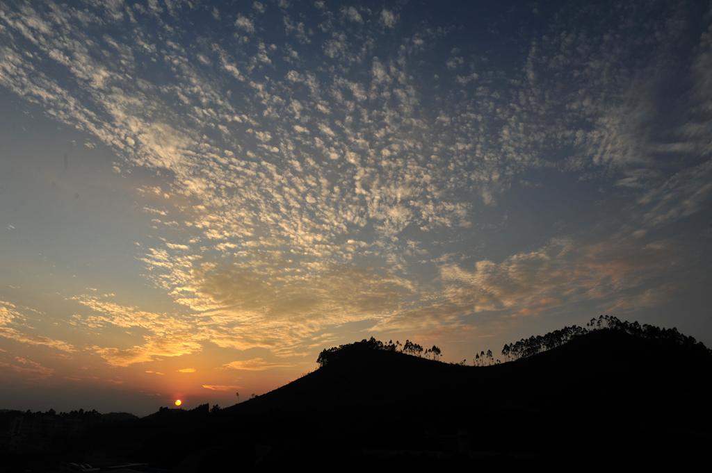 DSC_6703.JPG