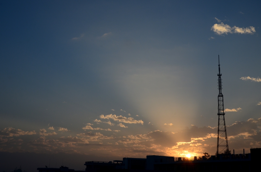 DSC_9605.jpg