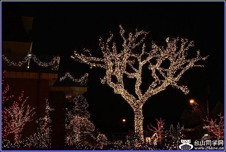 DSC_2031.jpg