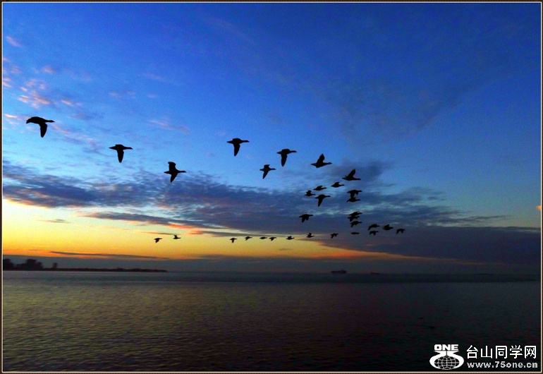 dsc00722_.jpg