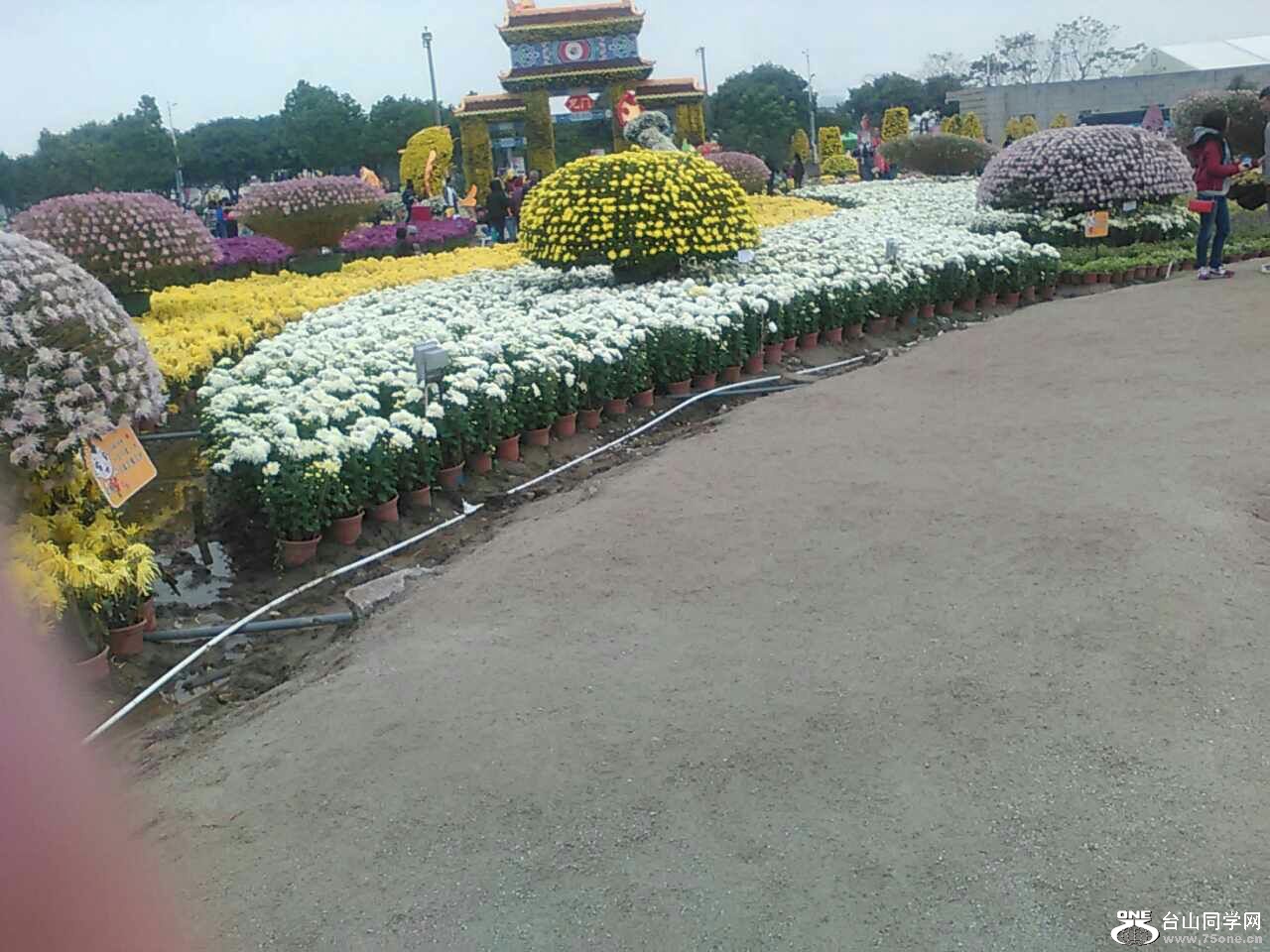 06.jpg