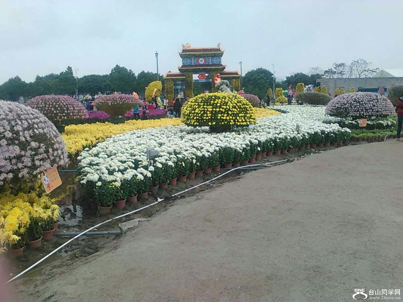 19.jpg