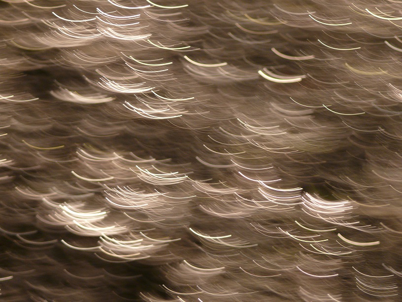 L1960481.JPG