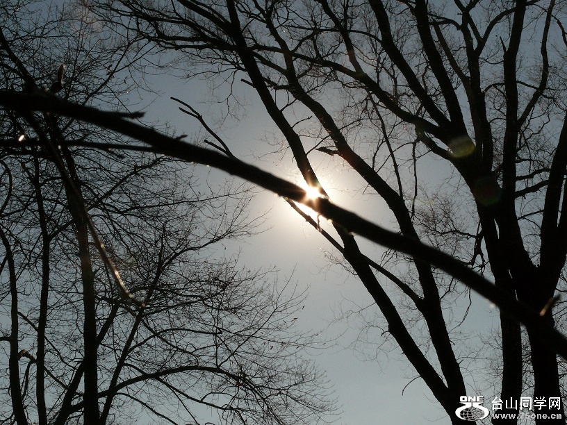 L1990090.JPG