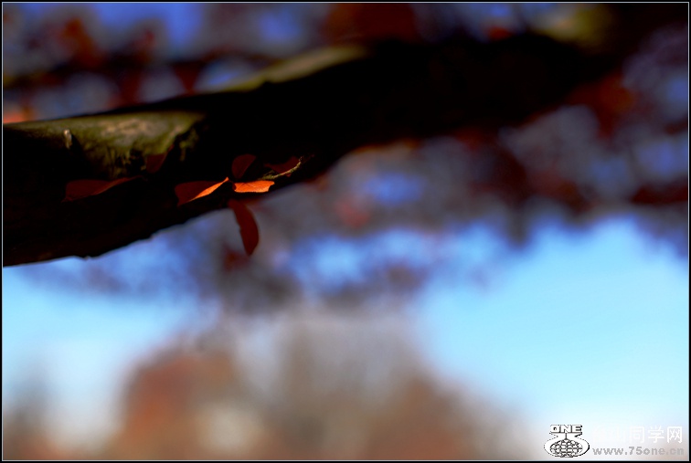 DSC_0505.jpg