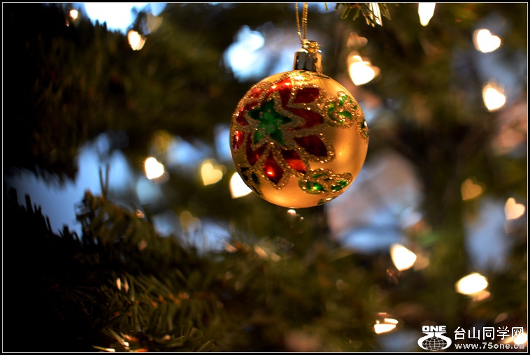DSC_2499.jpg