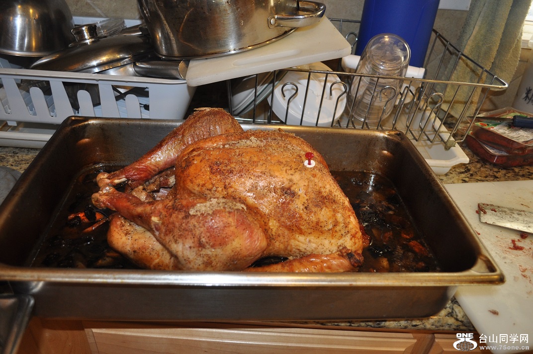 DSC_0199.JPG
