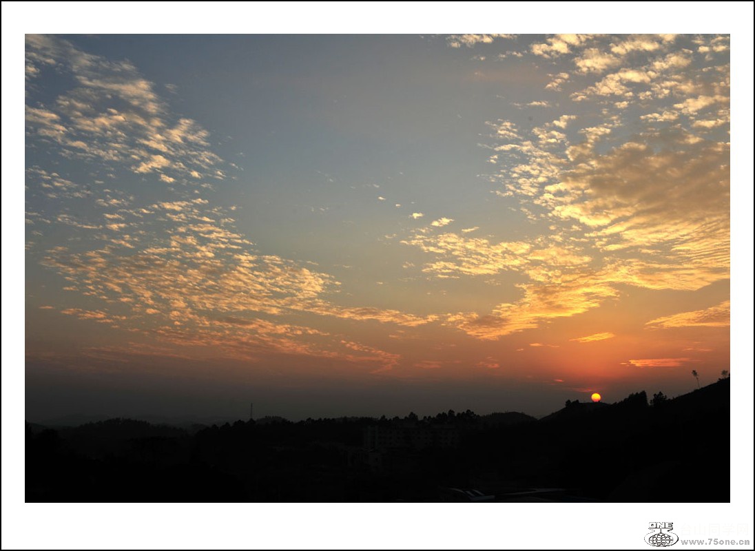 DSC_6736_conew1.jpg
