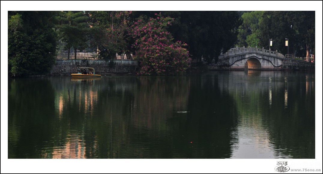 DSC_3443_conew1.jpg