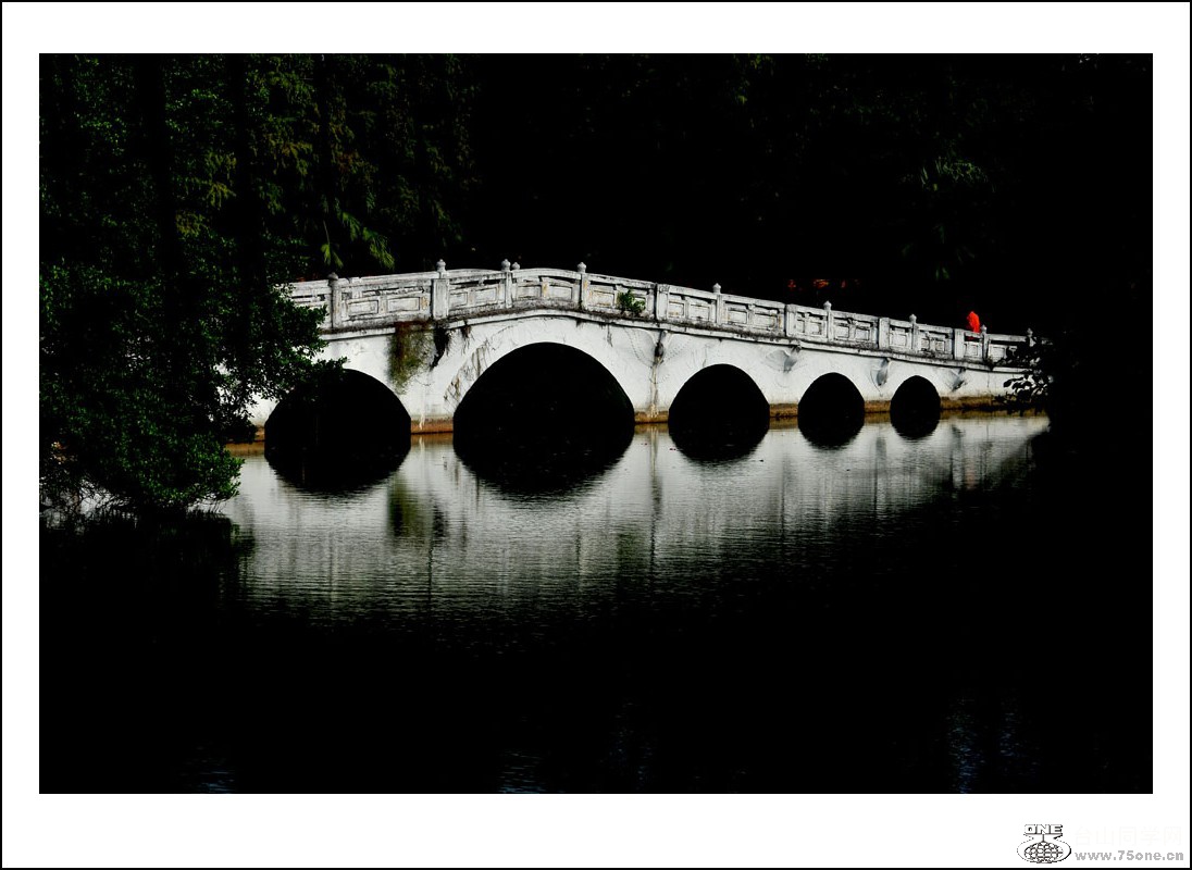 DSC_2965_conew1.jpg