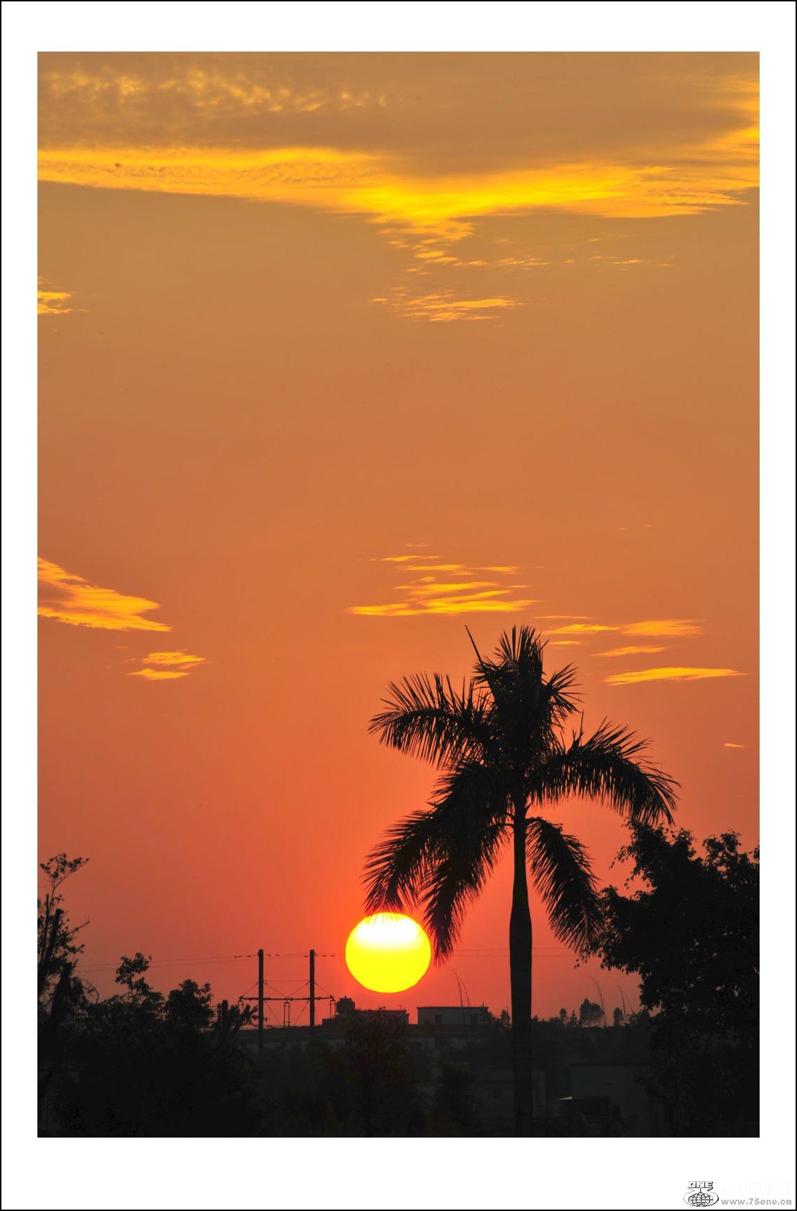 DSC_2689_conew1.jpg