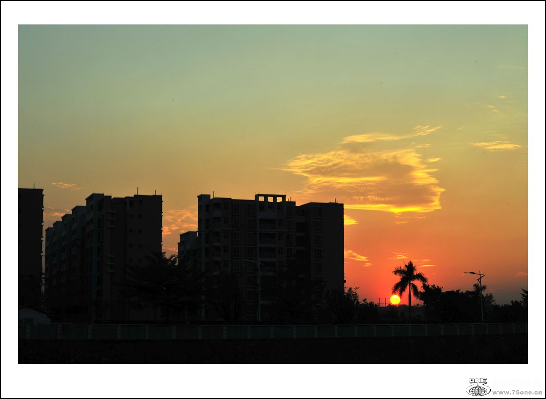 DSC_2694_conew1.jpg