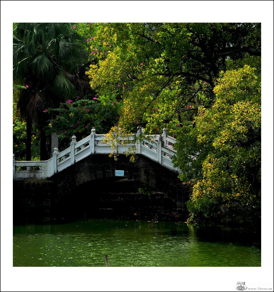 DSC_3767_conew1.jpg
