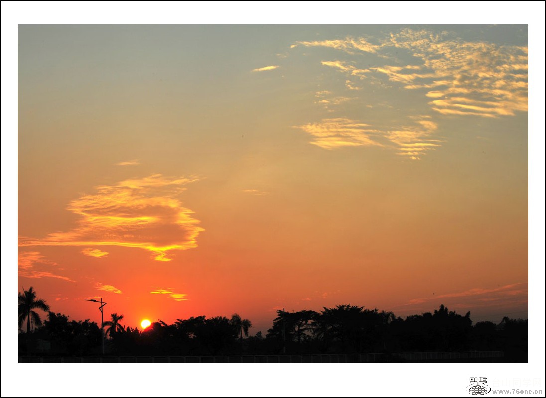 DSC_2678_conew1.jpg