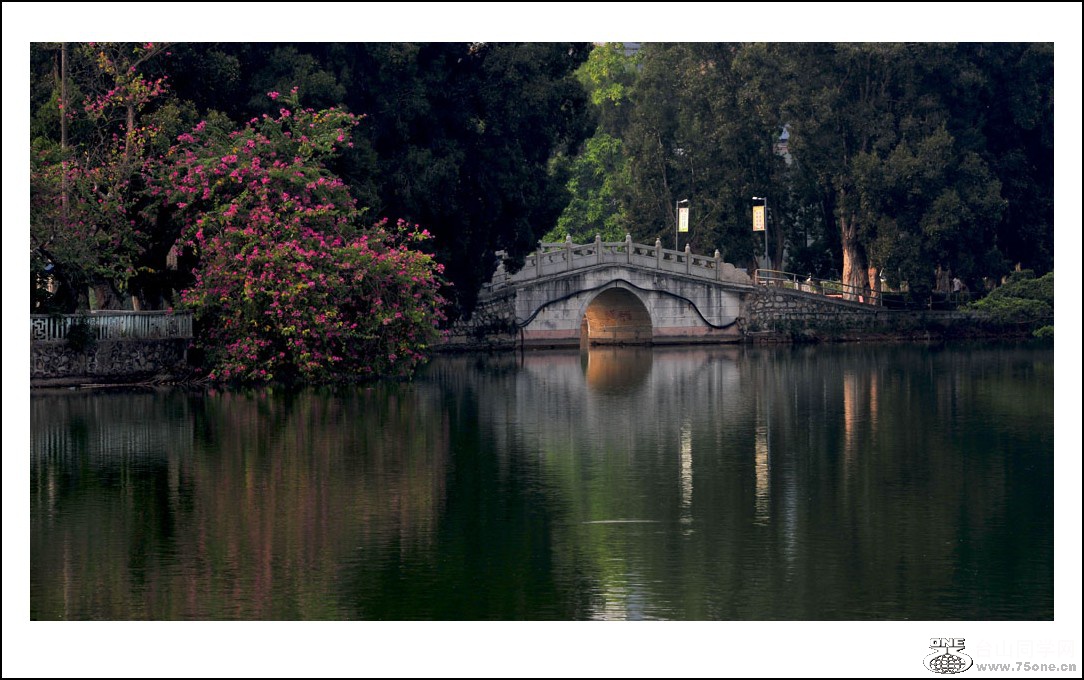 DSC_3430_conew1.jpg