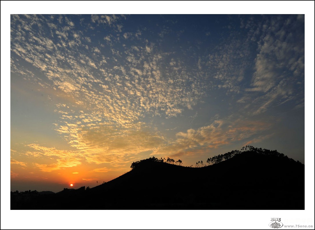 DSC_6678_conew1.jpg