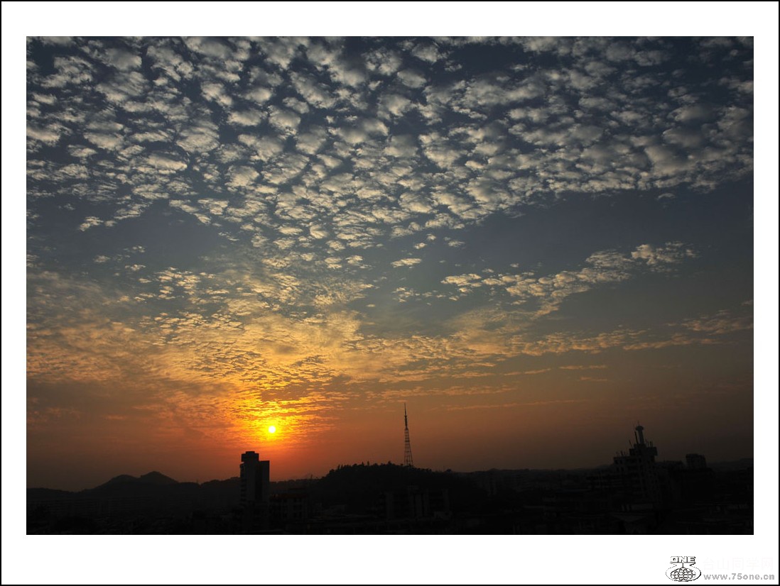DSC_3090_conew1.jpg