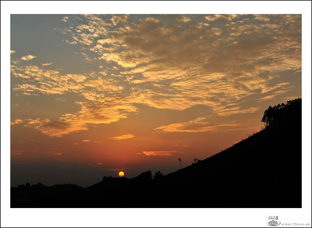 DSC_6734_conew1.jpg