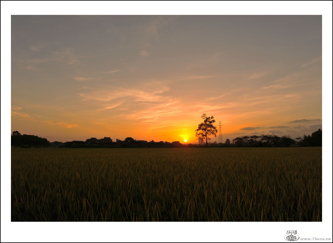 DSC_6558_conew1.jpg